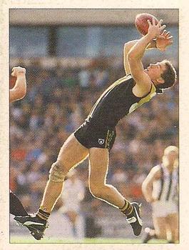 1992 Select AFL Stickers #194 Tony Free Front
